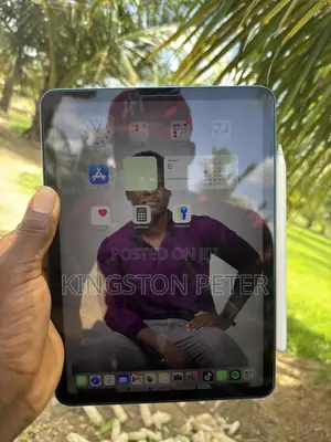 Apple iPad Air 256 GB Blue
