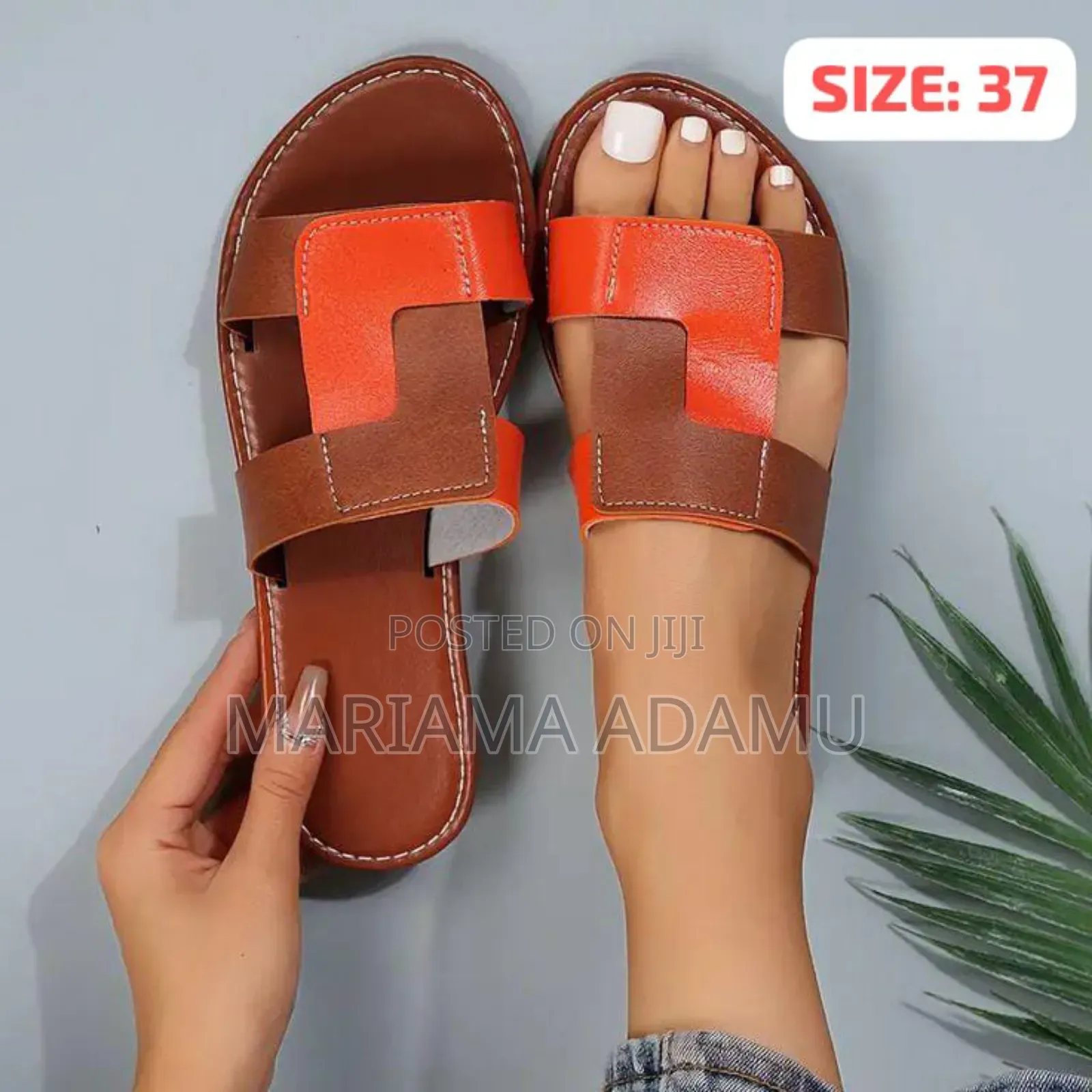 Mixed Ladies Slippers