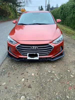 Hyundai Elantra Sport 2018 Orange
