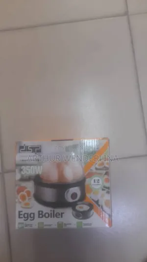 DSP Egg Boiler