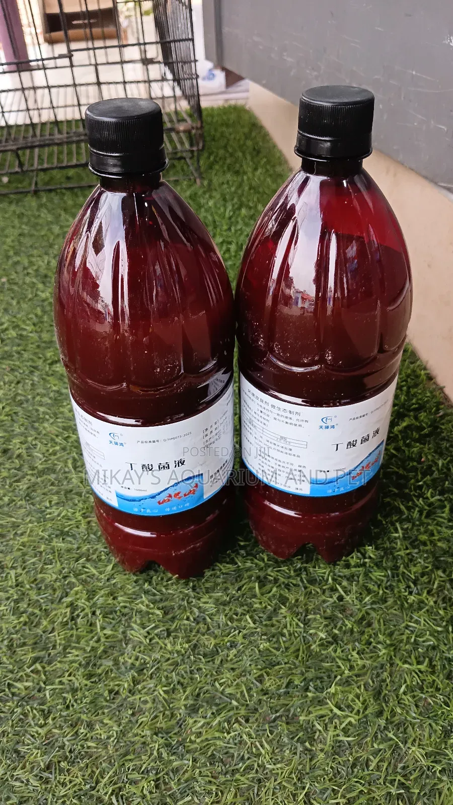 Liquid Probiotics For Fishes(100ml)