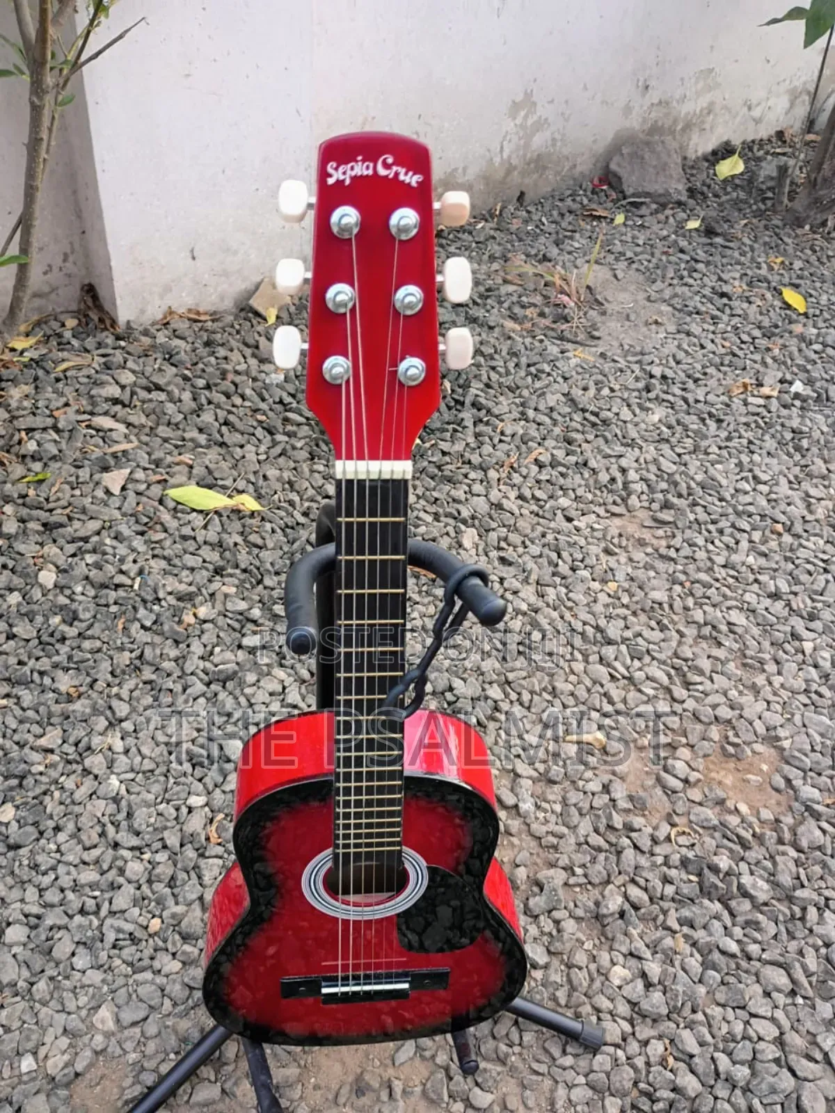 Sepia Crue W-50rds 1/2size Acoustic Guitar With Strap Strings Tuner