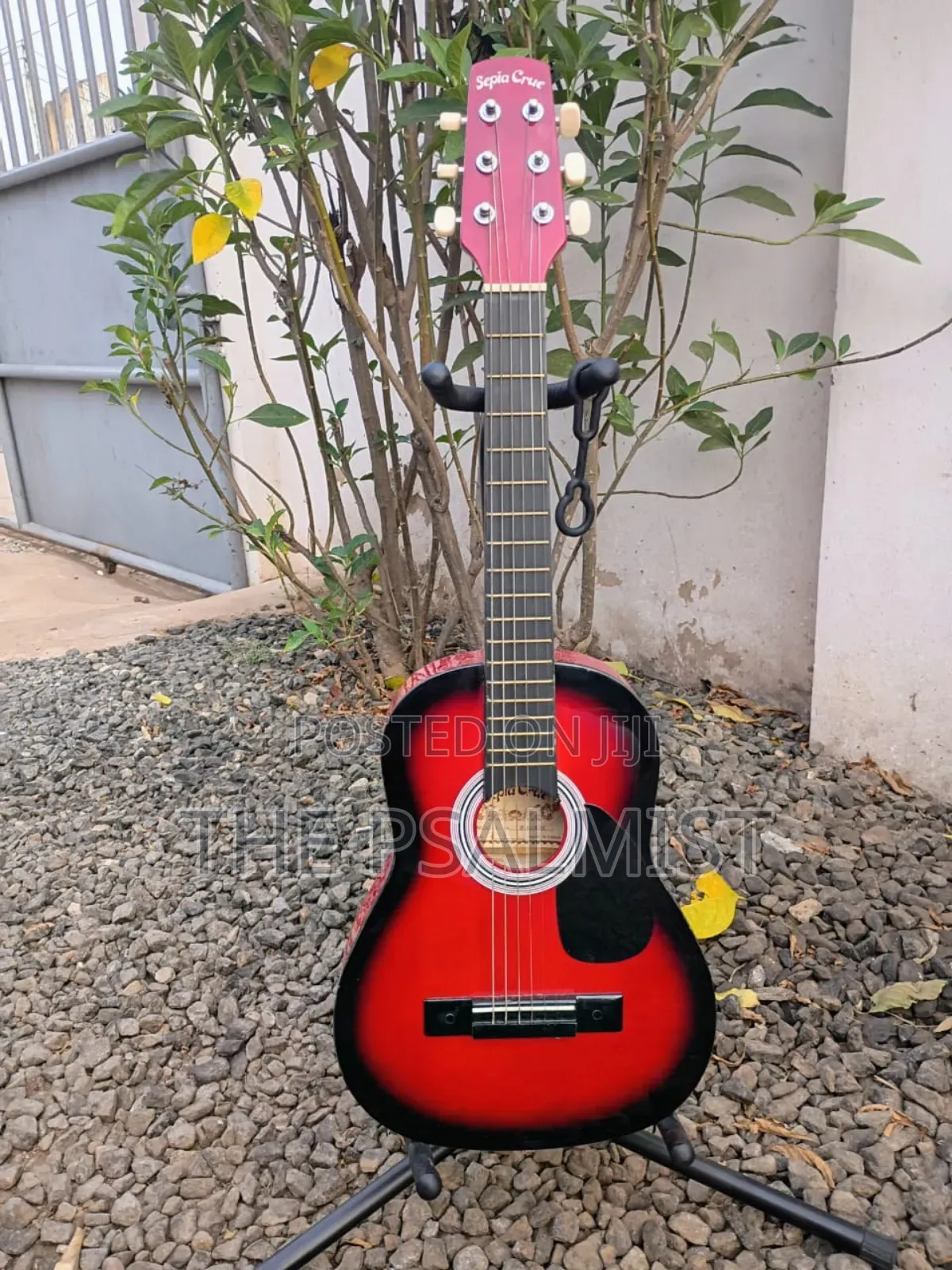 Sepia Crue W-50rds 1/2size Acoustic Guitar With Strap Strings Tuner