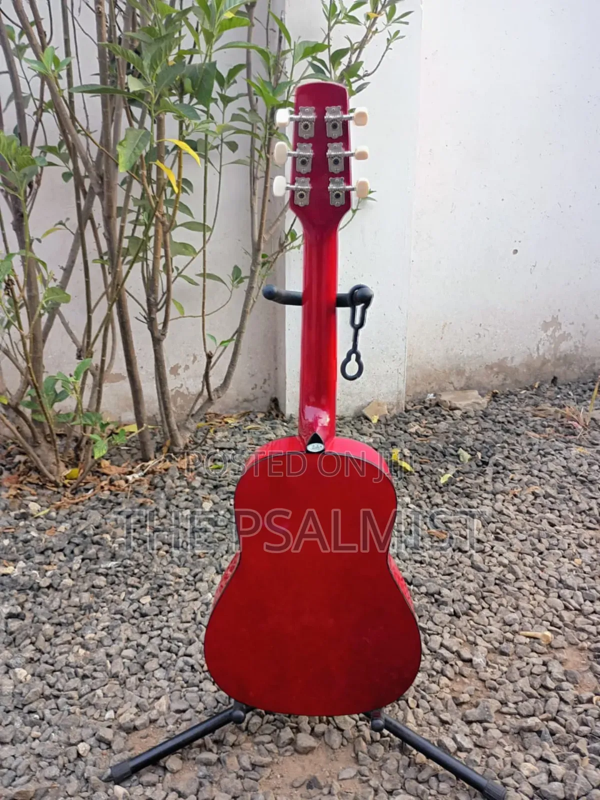 Sepia Crue W-50rds 1/2size Acoustic Guitar With Strap Strings Tuner