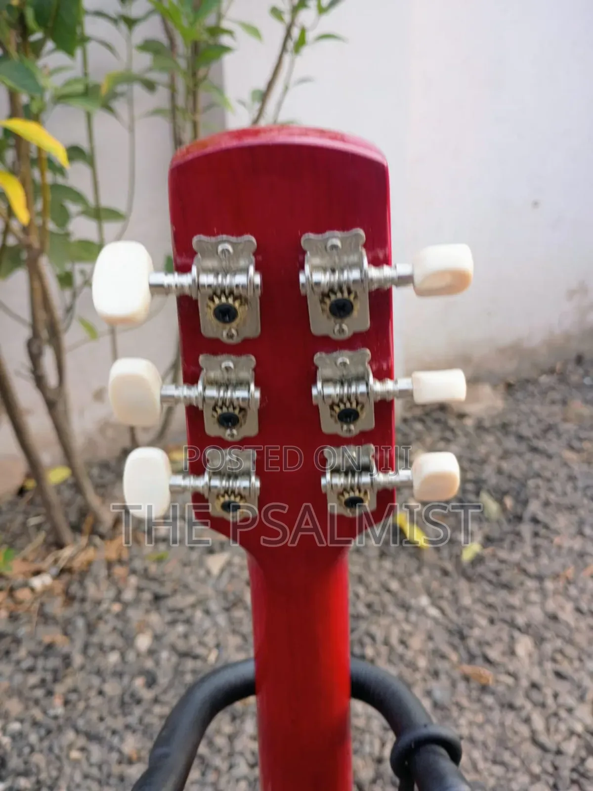 Sepia Crue W-50rds 1/2size Acoustic Guitar With Strap Strings Tuner