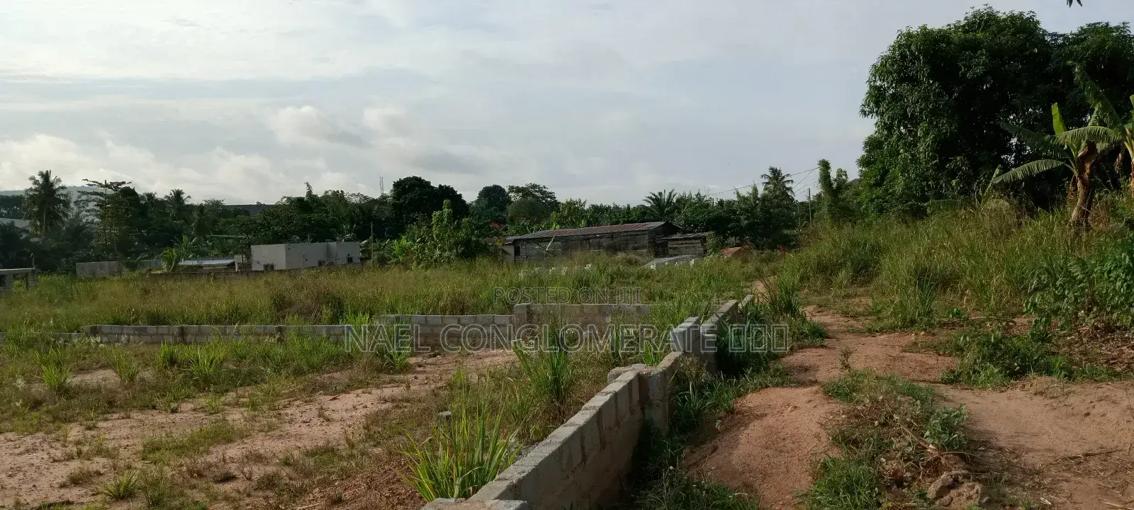 Genuine Half Plot of Land at Nsawam Doboro (Curve)