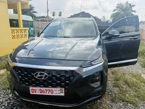 Hyundai Santa Fe 2021 Gray