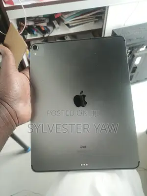 Apple iPad Pro 256 GB Gray