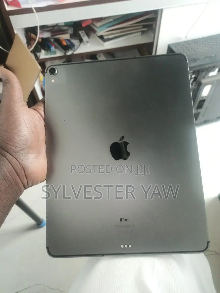 Apple iPad Pro 256 GB Gray