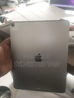 Apple iPad Pro 256 GB Gray