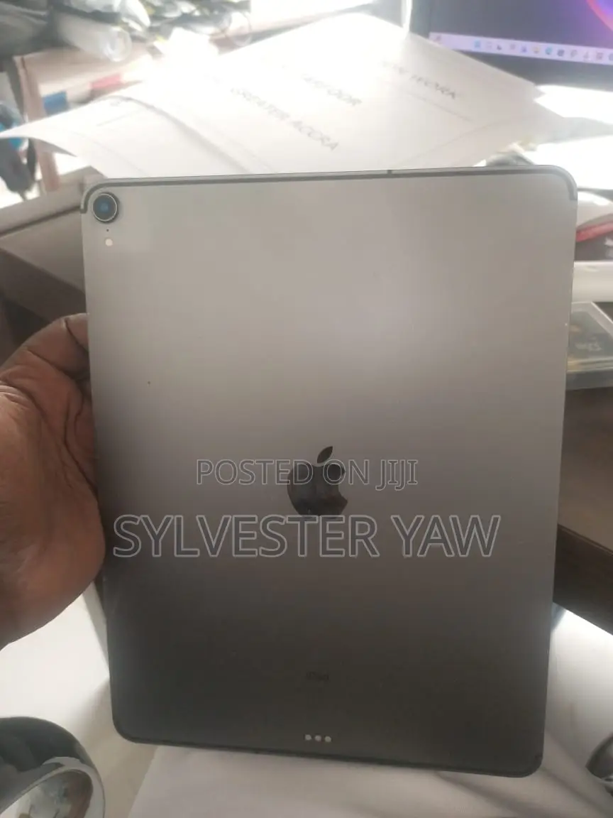 Apple iPad Pro 256 GB Gray