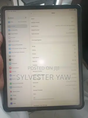 Apple iPad Pro 256 GB Gray