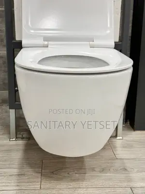 Wall Hung Toilet Concealed Wc