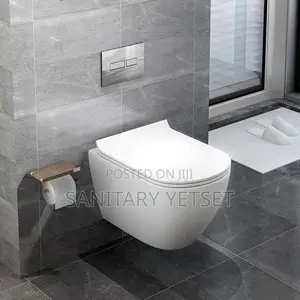 Wall Hung Toilet Concealed Wc