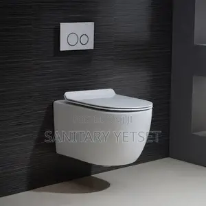 Back to Wall Wc