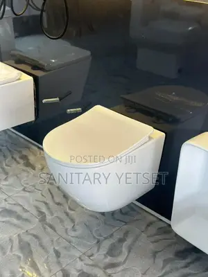 Back to Wall Wc