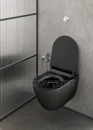 Hidden Cistern Toilet Wc
