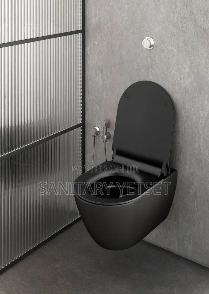 Hidden Cistern Toilet Wc