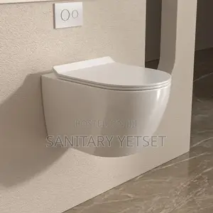Hidden Cistern Toilet Wc