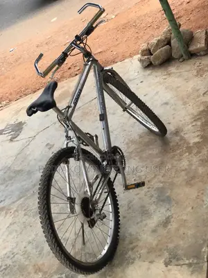 Mc Kinley (Roots) Bicycle