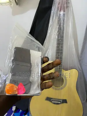 Acoustic Guitar
