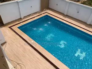 Swimming Pool Professional Services