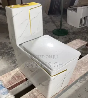 White and Gold Wc