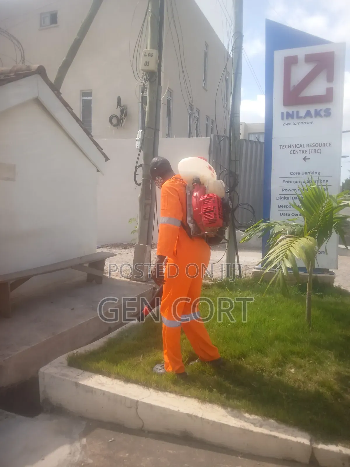Apartment Fumigation