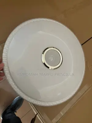 Ceiling Light With Bluetooth Speaker and Remote Control