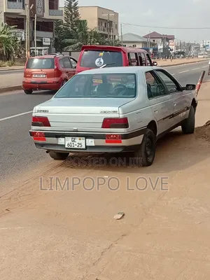 Peugeot 405 1999 Silver
