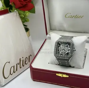 Cartier Geneve Quality Ices Watch