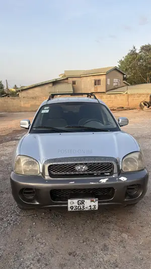 Hyundai Santa Fe 2005 Gray
