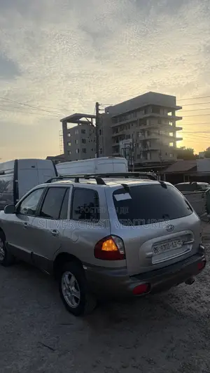 Hyundai Santa Fe 2005 Gray