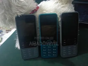 Nokia 6300 Gray