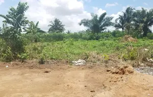 Volta Region, Kpando (Abanu) _ 1 Plot (90'x100') Land