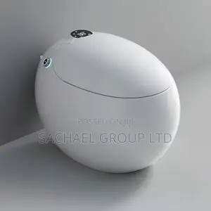 Smart Electronic Water Closets
