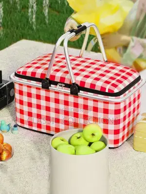 Insulated Foldable Picnic Cooler Bag
