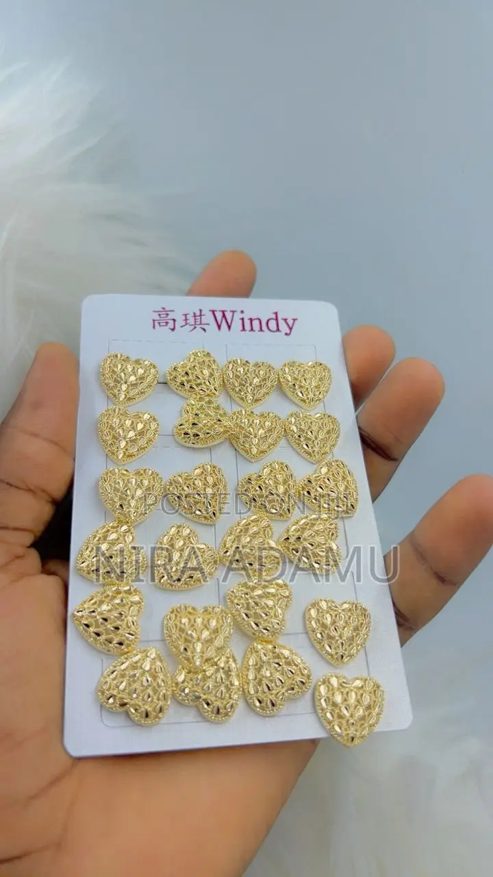 A Pair of Earrings at a Moderate Price