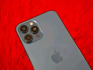 Apple iPhone 12 Pro Max 128 GB Gray