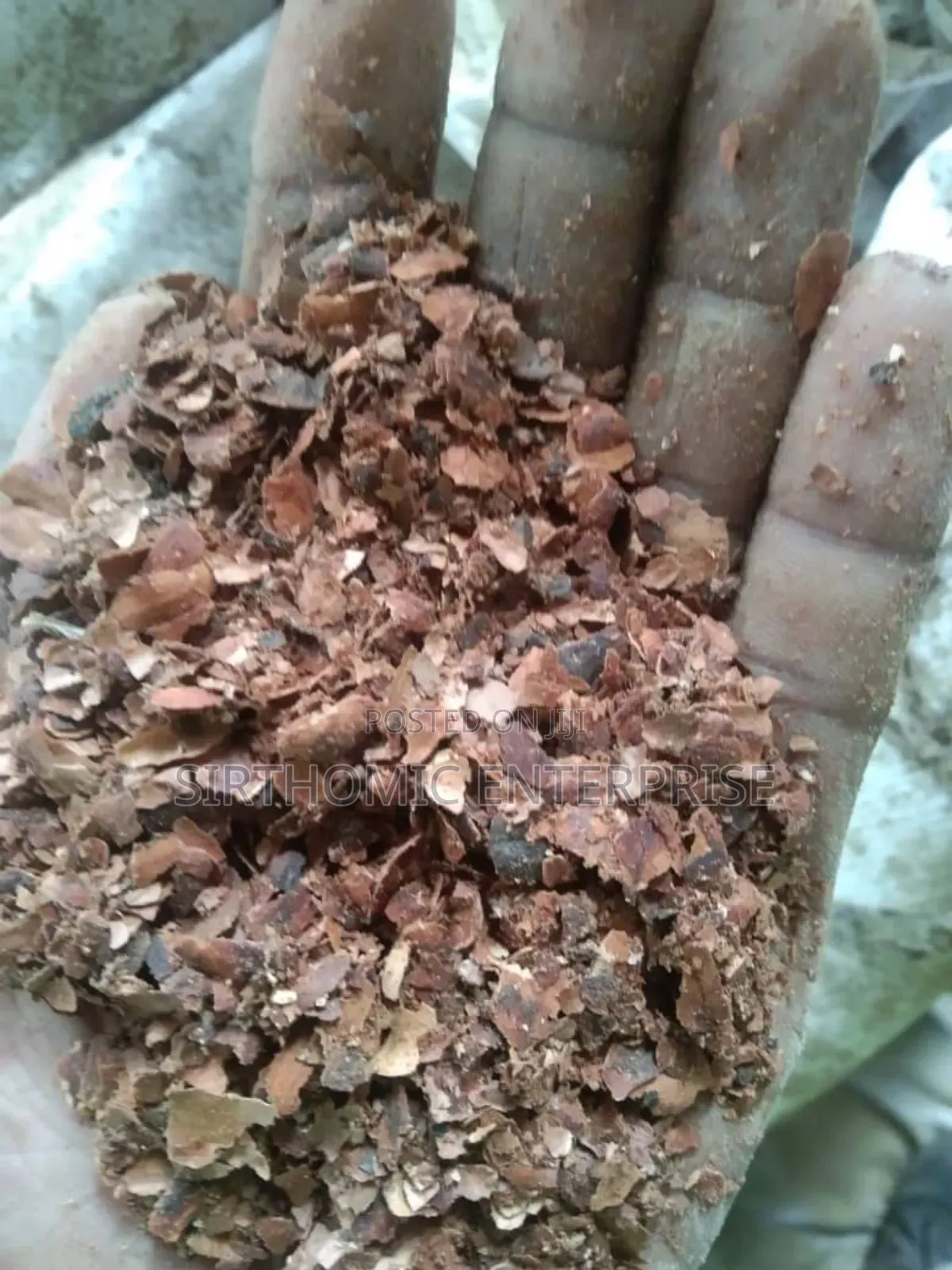 Cocoa Shell