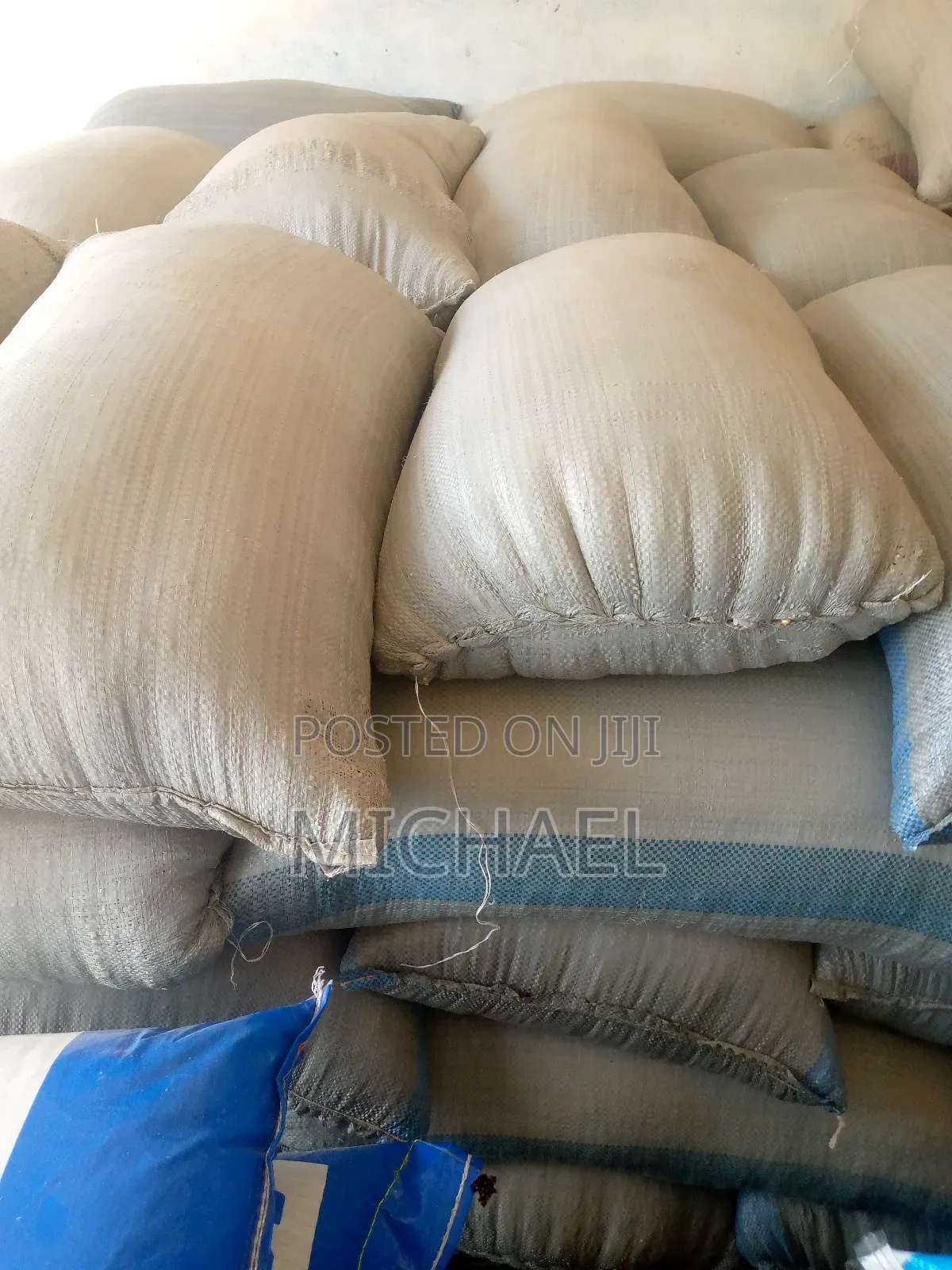 Quality Maize (50 Kg)
