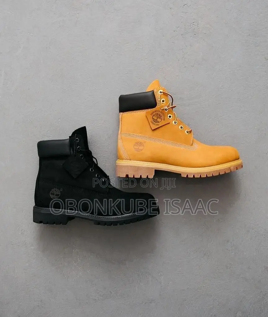 Timberland Sneaker