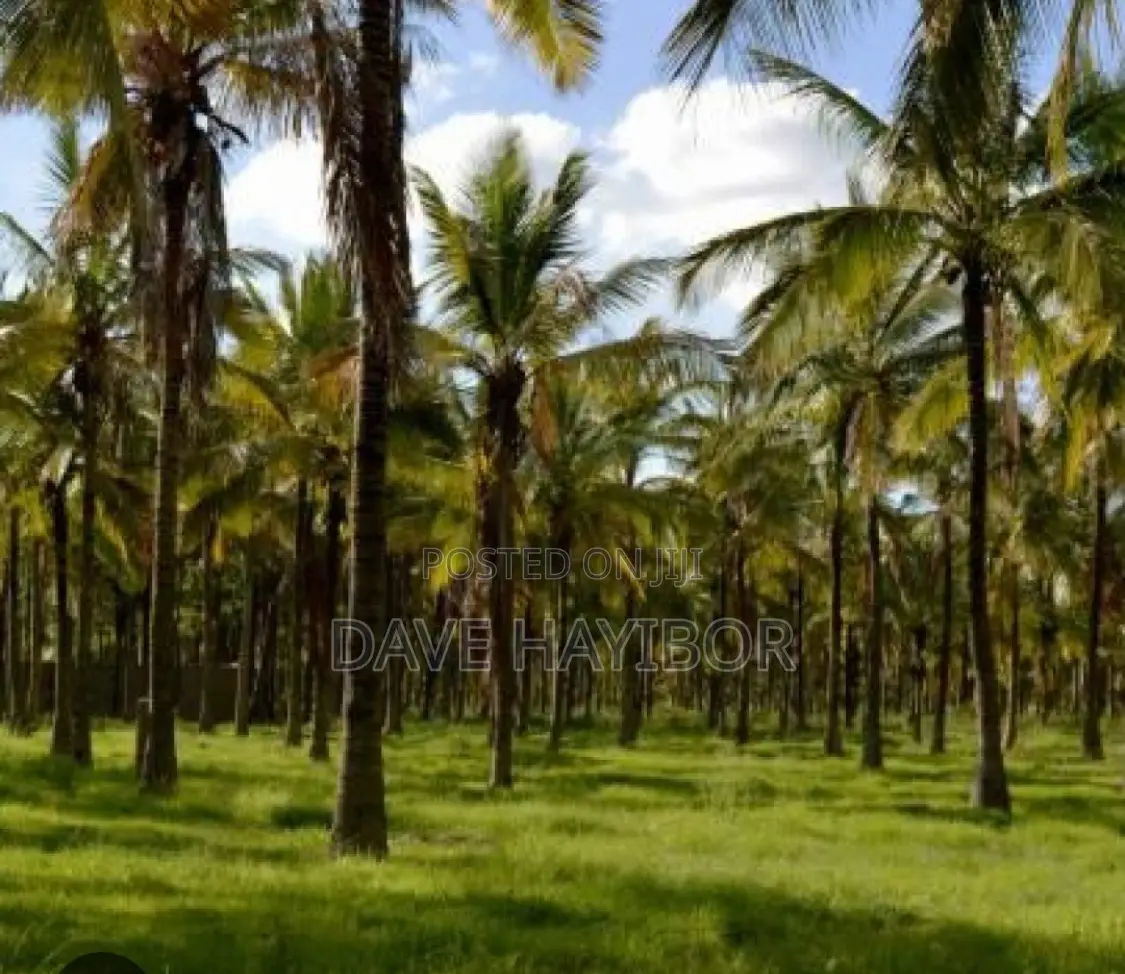 10 Plots of Land at Konkonuru, Near Aburi,