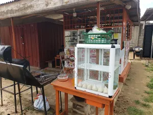 Fast Food Container Joint Spacious