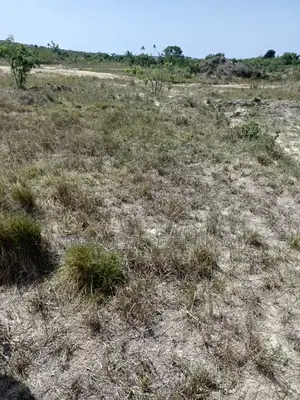 Full Plot of Land for Sale Akoti After Liberia Camp,Winneba Highway)