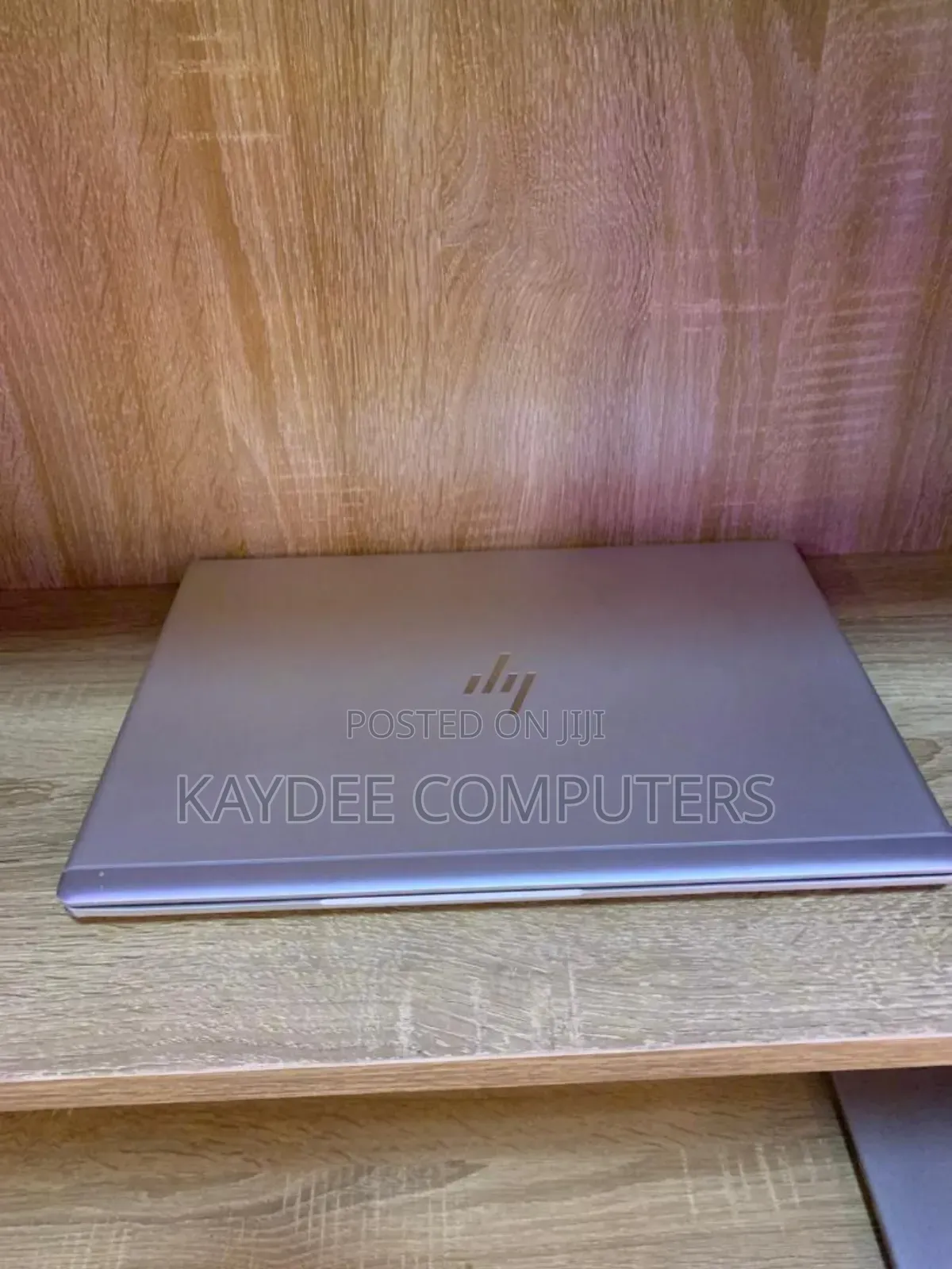 Laptop HP EliteBook 735 G6 8GB AMD Ryzen 5 SSD 256GB