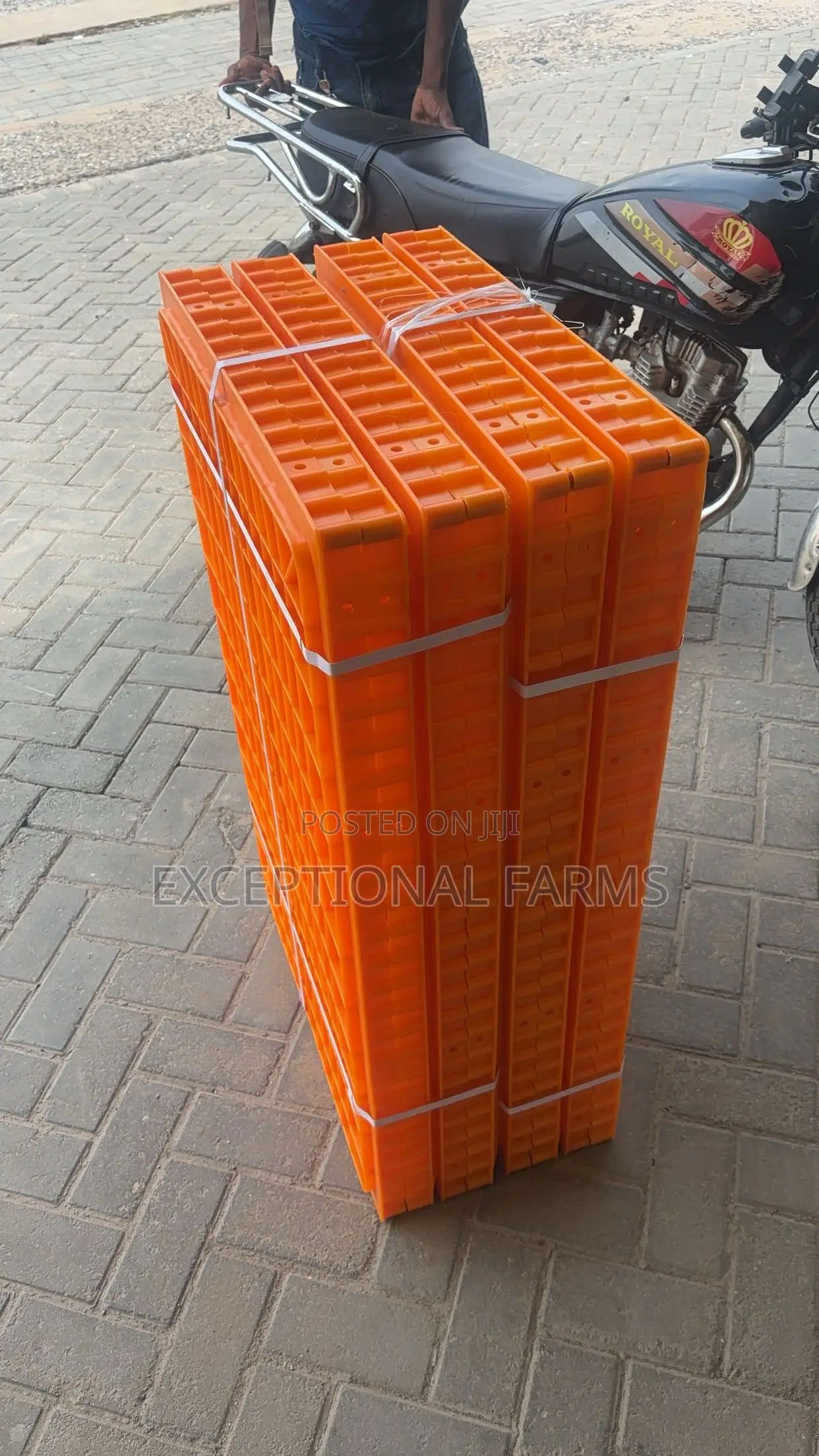 Transport Cage