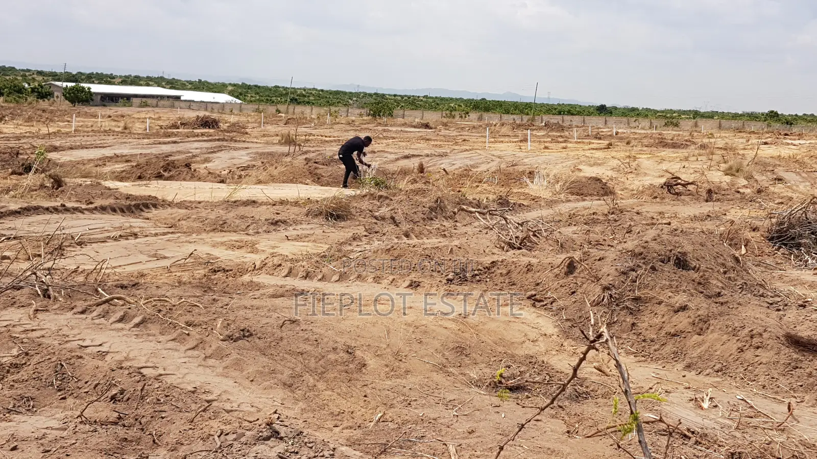 Demarcated Half Plots With Road Access — Tsopoli Skyport Phase 4