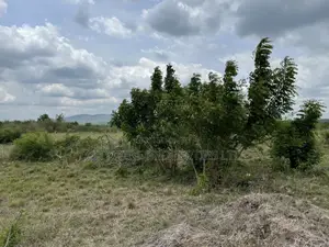 Prime Roadside Land - Between Winneba Apam