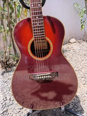 Aria Adl-01bs Acoustic Guitar
